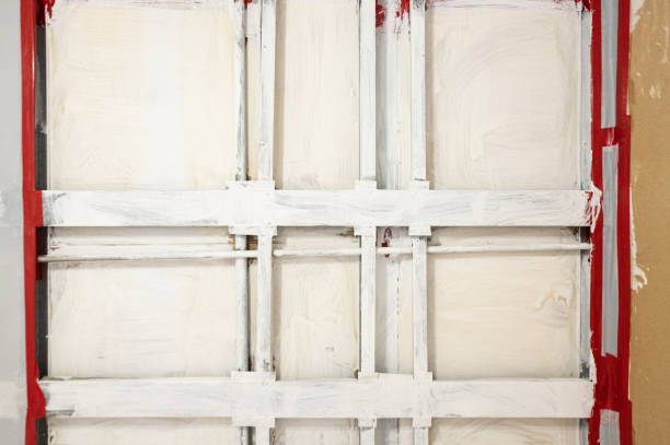 Best Commercial Mold Inspection  in Berkley, CO