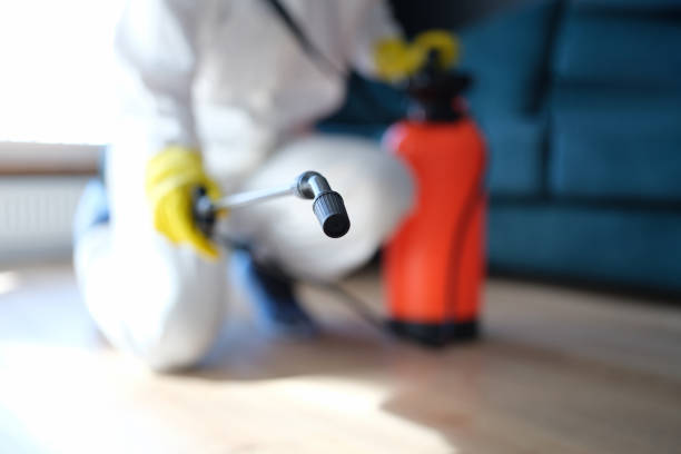 Best Dehumidification Services  in Berkley, CO